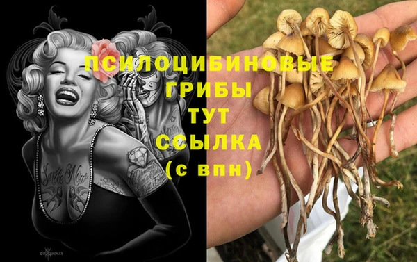 бутират Каменск-Шахтинский