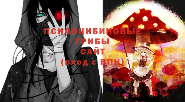 эйфоретик Каменка