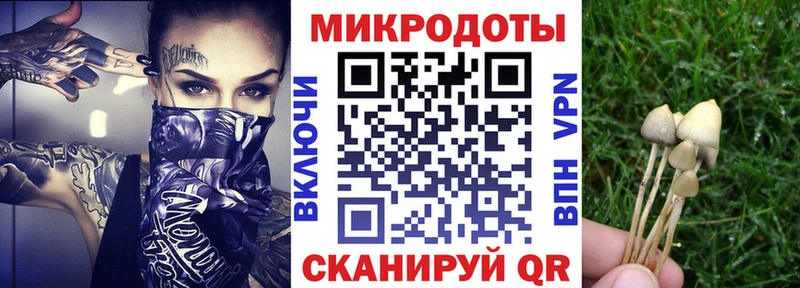 Псилоцибиновые грибы прущие грибы  Купить  Калязин 